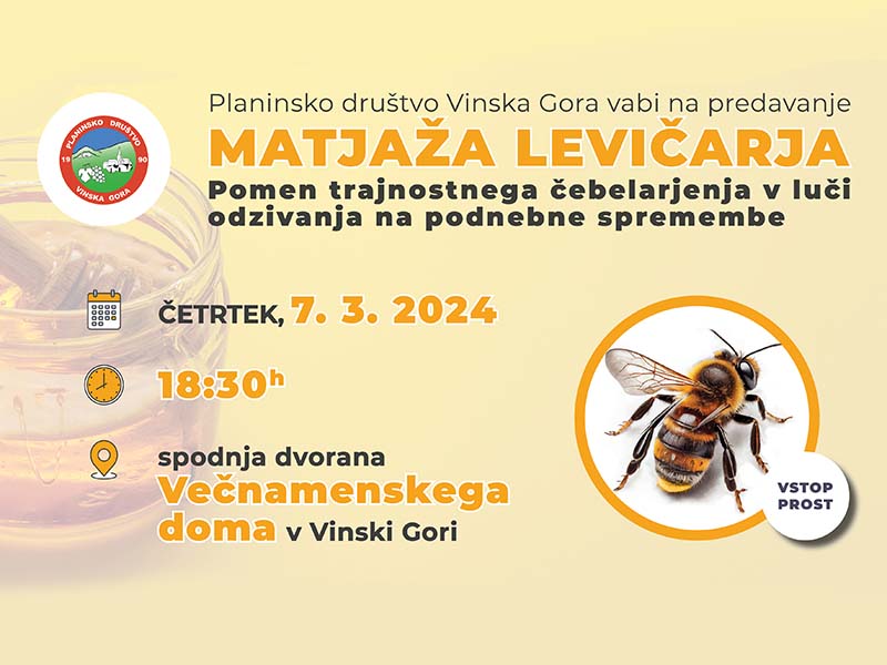 predavanje_Matjaz_Levicar